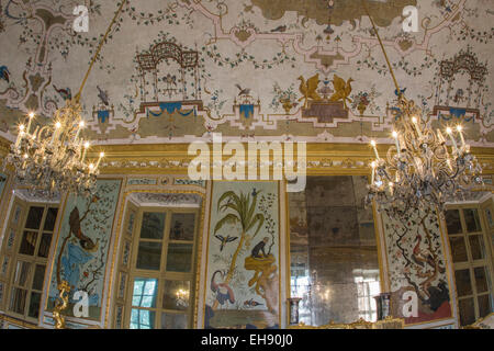 Palazzina di Caccia di Stupinigi. Residenza Reale di Casa Savoia. Stockfoto