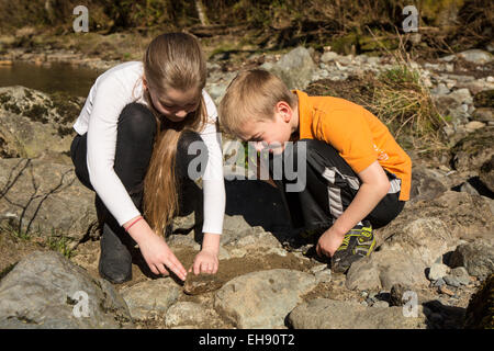 Neun Jahre altes Mädchen und ihr sieben Jahre alter Bruder auf der Suche nach Insekten durch Drehen über Felsen, in North Bend, Washington, USA Stockfoto