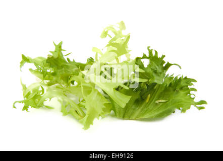 Frische Salatblätter grüne auf weißem Hintergrund Stockfoto