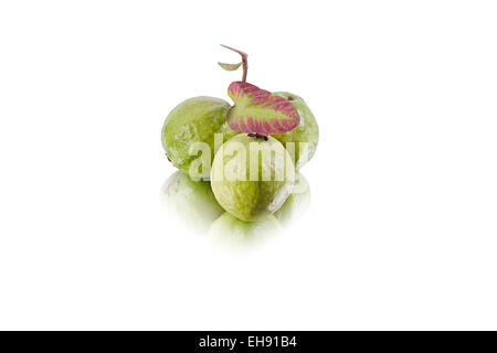 Frisch Guava Obst Gesundheit niemand Stockfoto