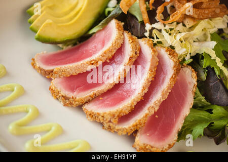 Sesam Kruste gebratene Ahi mit Baby Greens, Chinakohl, Avocado, Wan-Tan-Chips, Soja-Ingwer-Dressing, Wasabi Aioli, Corktree Ce Stockfoto