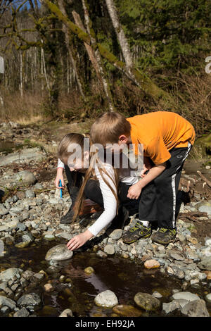 Neun Jahre altes Mädchen und ihr sieben Jahre alter Bruder auf der Suche nach Insekten durch Drehen über Felsen, in North Bend, Washington, USA Stockfoto