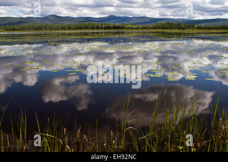 Cloud-Reflexionen in Kies See, Yukon Territorium, Kanada Stockfoto