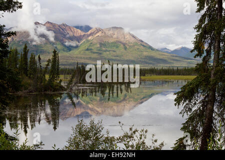 Reflexion im Mentasta Lake, Alaska Stockfoto