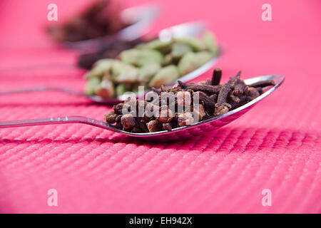 Masale Löffel Nahrung in Hülle und Fülle und Qualität der Ernährung niemand Stockfoto