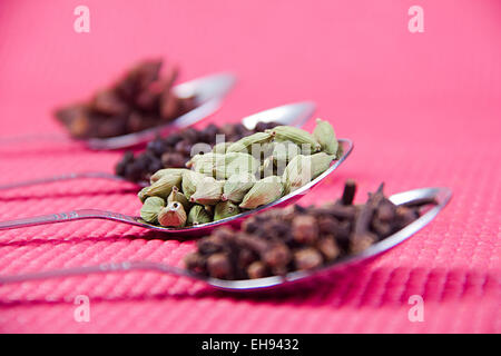 Masale Löffel Nahrung in Hülle und Fülle und Qualität der Ernährung niemand Stockfoto