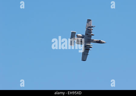 Die a-10 Angriff Kämpfer fliegt auf der 2010 Chicago Airshow. Stockfoto