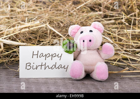 Glücksschwein mit Kleeblatt und Karte mit englischen Text Happy birthday Stockfoto
