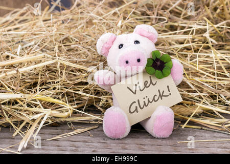 Glücksschwein mit Kleeblatt und Karte mit deutschem Text viel Glück Stockfoto