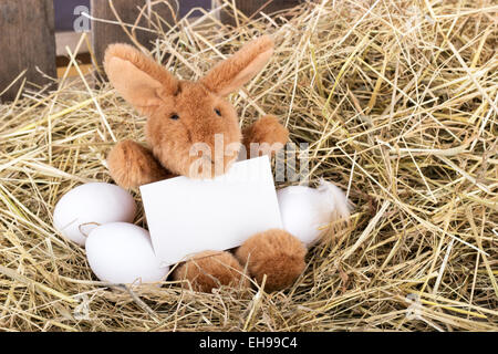 Osterhase sitzend auf Stroh mit Eiern und hält eine Karte Stockfoto