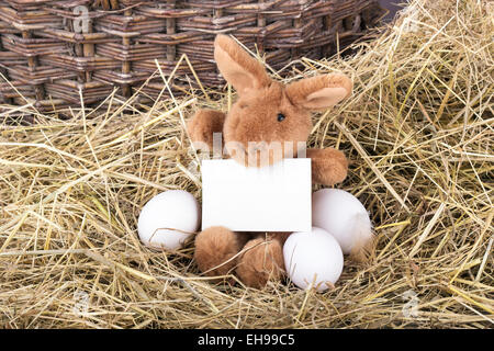 Osterhase sitzend auf Stroh mit Eiern und hält eine Karte Stockfoto