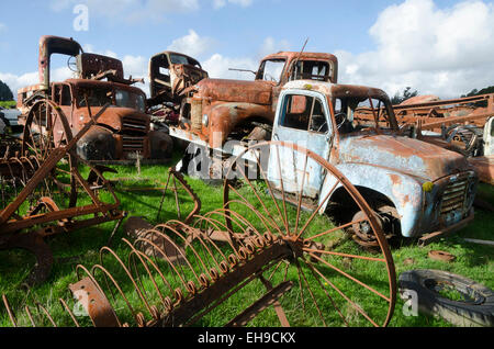 Alte LKW und Landmaschinen im Bereich Horopito, in der Nähe von Raetihi, Waimarino, Nordinsel, Neuseeland Stockfoto