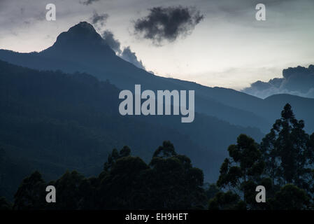 Die beleuchteten Weg Sri Pada (Adam es Peak), Sri Lanka, Asien Stockfoto