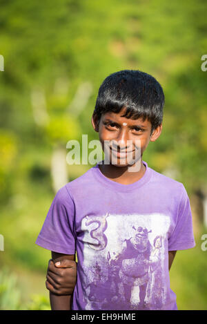 Junge auf Tee-Plantage in Maskeliya, Sri Lanka, Asien Stockfoto