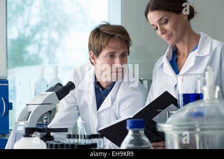 Wissenschaftler arbeiten zusammen im Labor Stockfoto