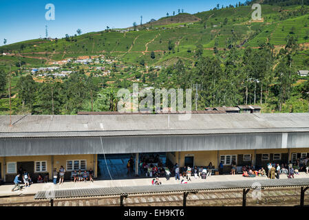 Nanu Oya, Bahnhof, Nuwaraelyia District, Central Province, Sri Lanka Stockfoto