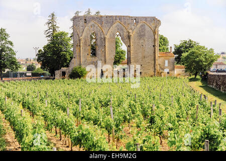 Saint-Emilion, Gironde, Aquitanien, Frankreich Stockfoto