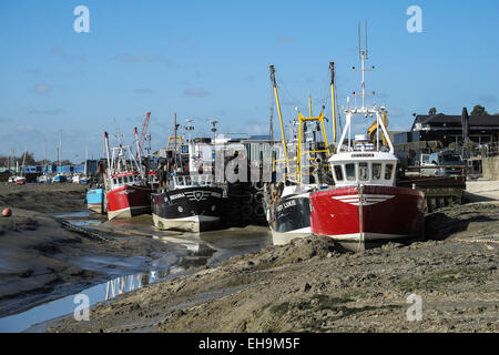 Cockle Boote gebunden bei Ebbe an Leigh-on-Sea, Essex. Stockfoto