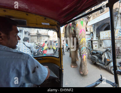 Elefanten gesehen von Auto-Rikscha in Jaipur Straße, Rajasthan, Indien Stockfoto