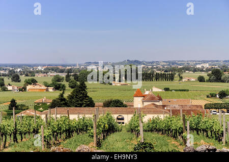 Weinberg mit Steinhäusern, Blick über die Landschaft in der Umgebung von Saint-Emilion, Gironde, Aquitanien, Frankreich Stockfoto