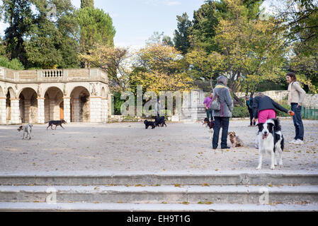 Gruppe von Menschen mit Hunden an Spitze des Burgbergs am historischen Standort, Nizza, Gerassel Stockfoto