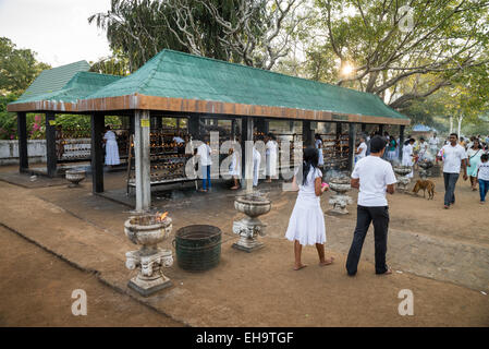 Glasbau für buddhistischen Gebet Lichter in die Heilige Stadt Anuradhapura, Sri Lanka, Asien Stockfoto