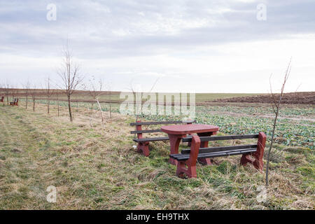 Leere Parkbank befindet sich in Landschaft Feld im frühen Frühling und viel Platz zum Entspannen Stockfoto