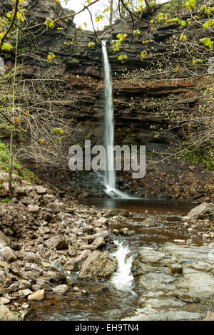 Blick auf Hardraw Kraft, Englands höchste Single drop Wasserfall, obere Wensleydale, Yorkshire Dales National Park, UK. Stockfoto