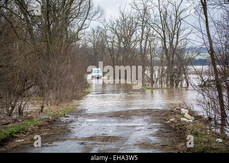 Hochwasser - ein natürliches Phänomen. Das Auto geht durch das Wasser. Stockfoto