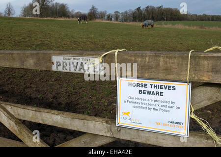 Ein Schild warnt Pferdediebe, dass diese Pferde durch die Farmkey Freezemark, Cotswolds, Gloucestershire, UK geschützt sind. Stockfoto