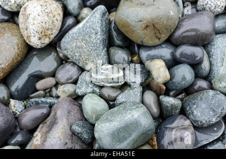 Regen Sie am Strand Steinen im Acadia National Park, Maine. Stockfoto