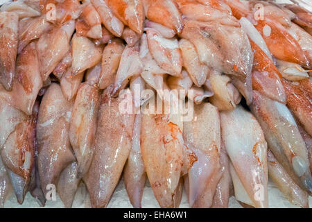 Frischer Tintenfisch zum Verkauf an der Boqueria-Markt in Barcelona Stockfoto