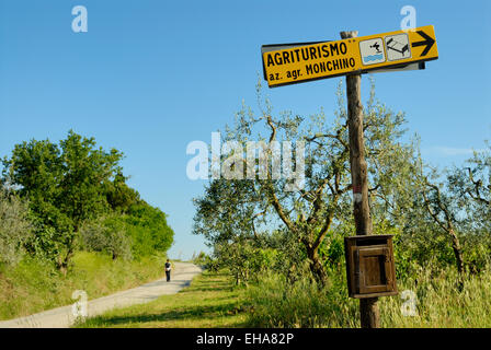 Landstraße, die durch Ackerland mit Agrotourismus zu unterzeichnen, in der Nähe von San Gimignano, Toskana, Italien Stockfoto