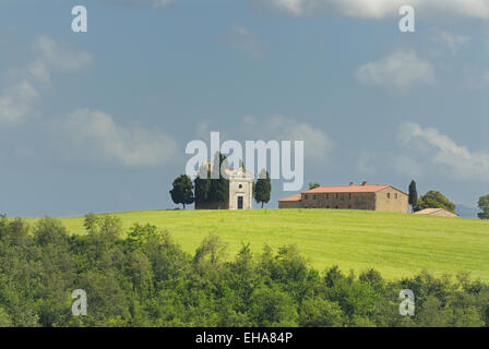 Kapelle des Vitaleta (Capella di Vitaleta), San Quirico d ' Orcia, Val d ' Orcia, in der Nähe von Pienza, Toskana, Italien Stockfoto