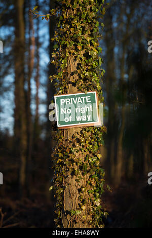 Private Nr. Vorfahrt Schild an einem Baum in einem privaten Wald genagelt. UK Stockfoto