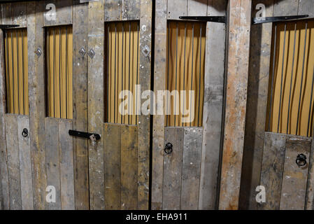 Alte Holztür mit Metallstangen in natürlichem Licht Stockfoto