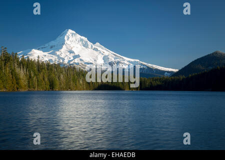 Mt. Hood erhebt sich über Lost Lake, Cascade Mountains, Oregon, USA Stockfoto