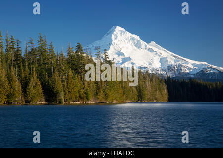 Mt. Hood erhebt sich über Lost Lake, Cascade Mountains, Oregon, USA Stockfoto