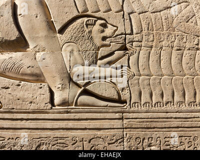 Reliefs im äußeren Gang des Tempels von Haroeris und Sobek in Kom Ombo im Niltal, Oberägypten Stockfoto