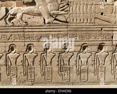 Reliefs im äußeren Gang des Tempels von Haroeris und Sobek in Kom Ombo im Niltal, Oberägypten Stockfoto