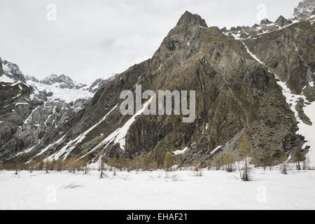 Gletscher und Gipfel gesehen vom Pré de Madame Carle in Saint-Pierre-Tal, in der Nähe von Vallouise Nationalpark Ecrins, Frankreich. Stockfoto