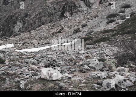 Boulder Feld- und Fellfield Vegetation im Nationalpark Ecrins, Französische Alpen, mit Murmeltier im Zentrum. Stockfoto