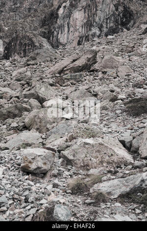 Geröllfeld im Nationalpark Ecrins, Französische Alpen, mit Murmeltier im Zentrum. Stockfoto