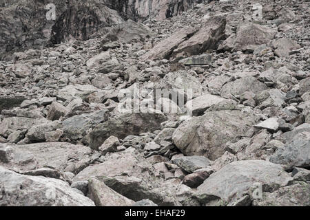 Geröllfeld im Nationalpark Ecrins, Französische Alpen, mit Murmeltier im Zentrum. Stockfoto