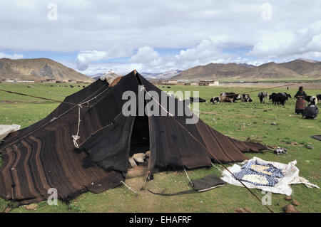 Drokpa (Nomade) Hirten, Familienzelt Stockfoto