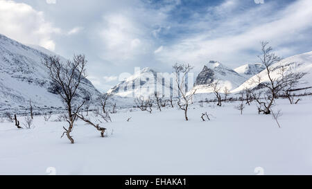 Blick auf die Berge des Kebnekaise Mountain Bereich, Kiruna, Schweden, Europa, EU Stockfoto