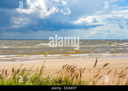 Ufer der Peipussee. Estland Stockfoto