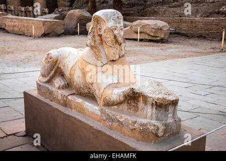 Anrosphinx in der Karnak-Tempel-Komplex befindet sich in Luxor, Ägypten Stockfoto