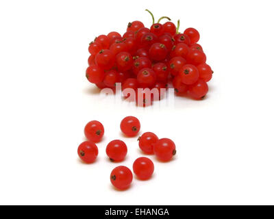 Tragen / Johannisbeere (Ribes Rubrum) Stockfoto