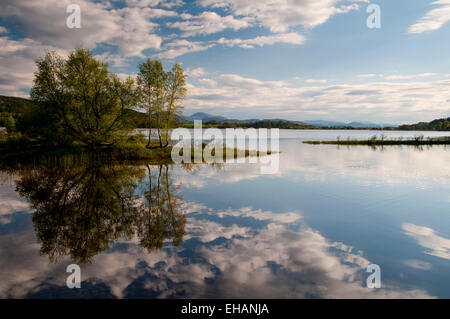 Bäume, blauer Himmel und Wolken spiegelt sich in den stillen Wassern des Loch Insh, Inverness-Shire. Mai. Stockfoto